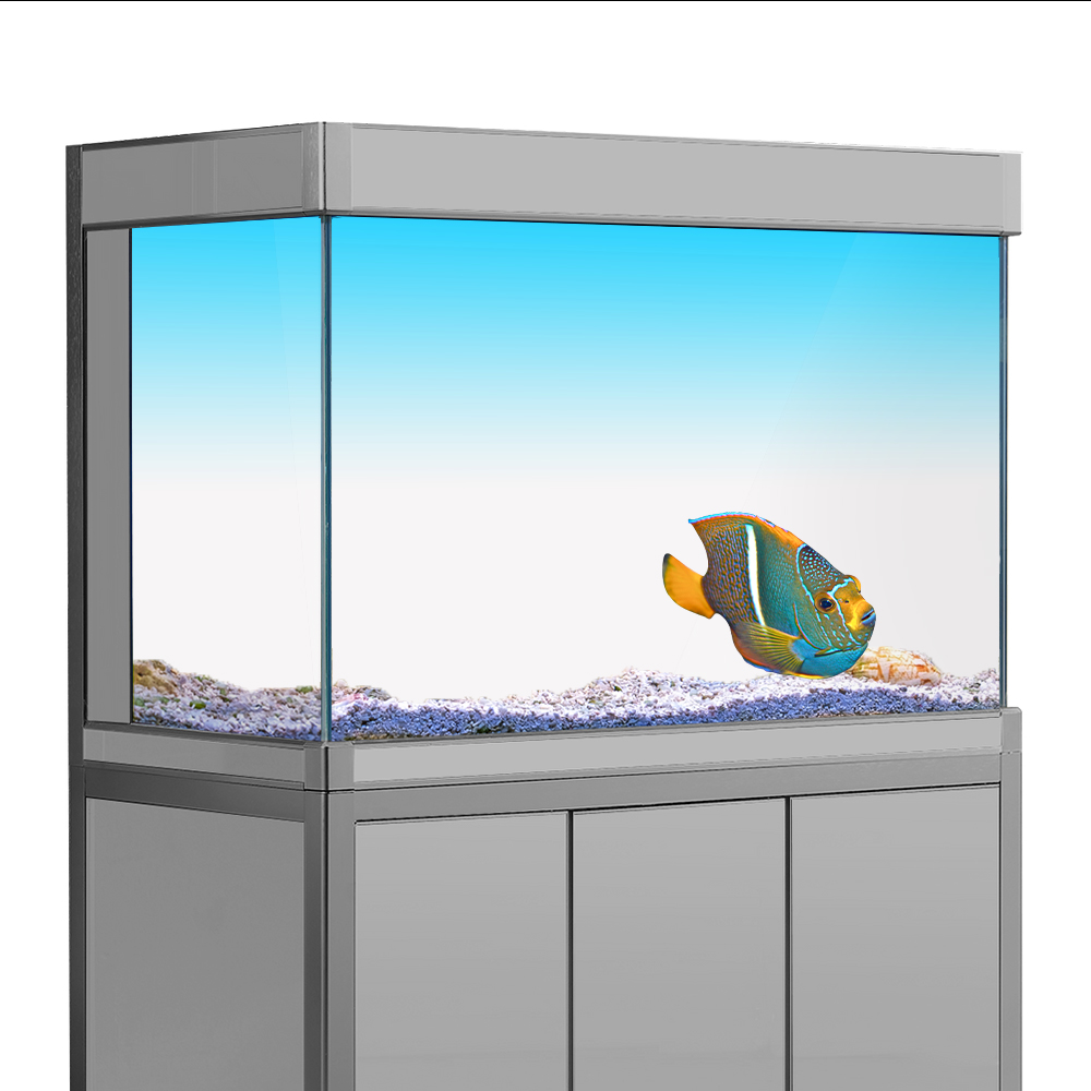 Aquarium Fish Yellow - Adesivo per sfondo acquario Bianco Giallo