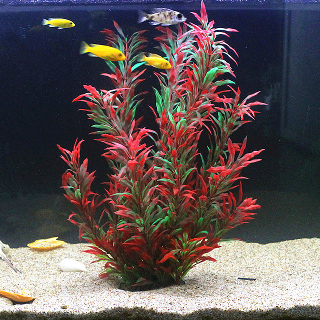 Aquarium Fish Farm - 50CM Acquario artificiale Piante rare Acquario