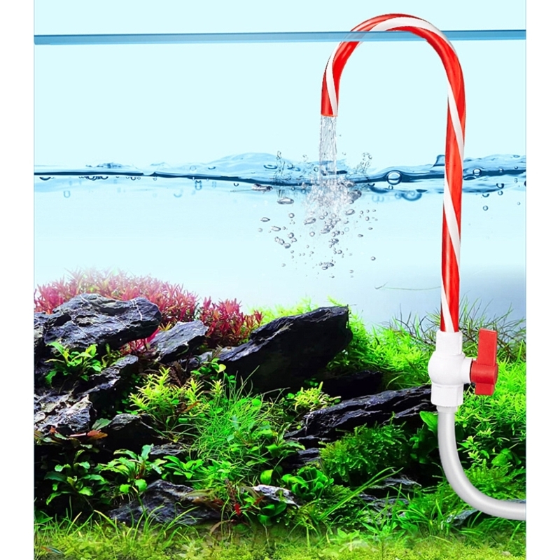 Accessorio per ricariche per a - Aquarium Fish Youtube recensione e prezzo
