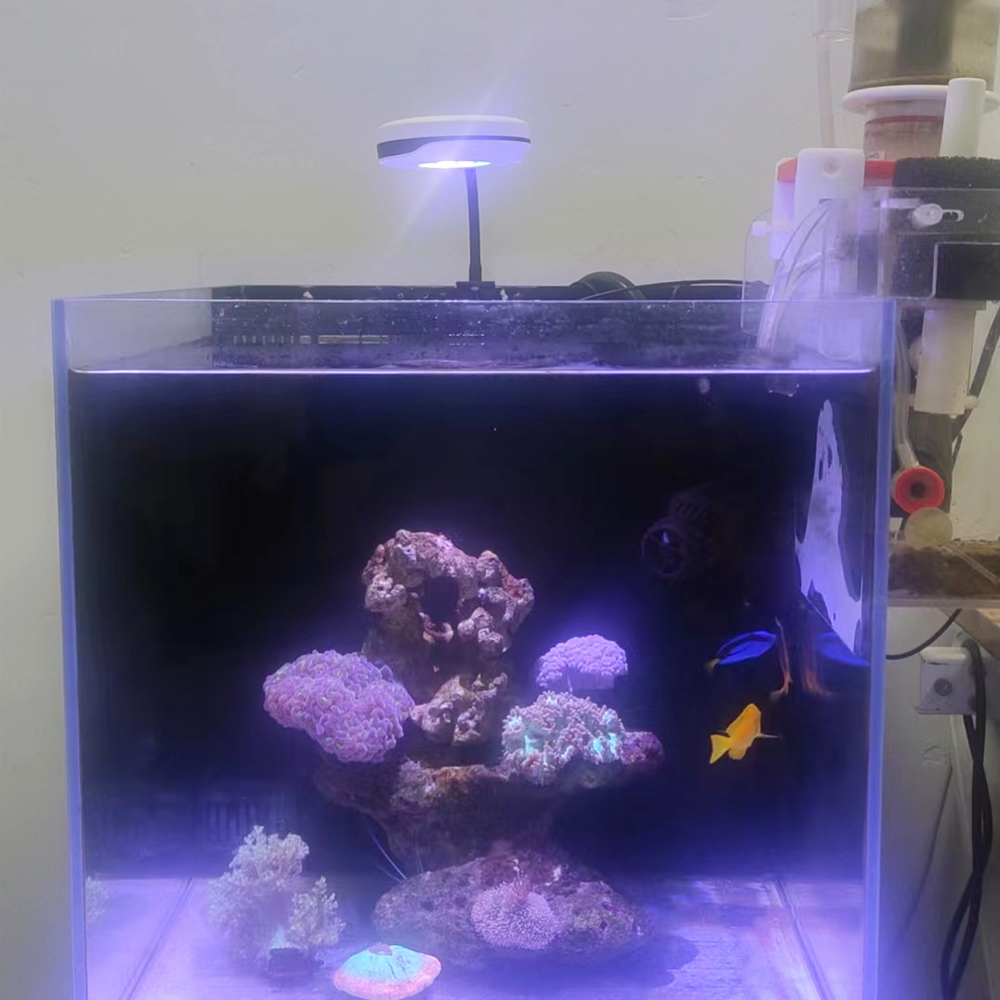 Spectra 20W LED Acquario Luce  - Refugium Light Nano recensione e prezzo