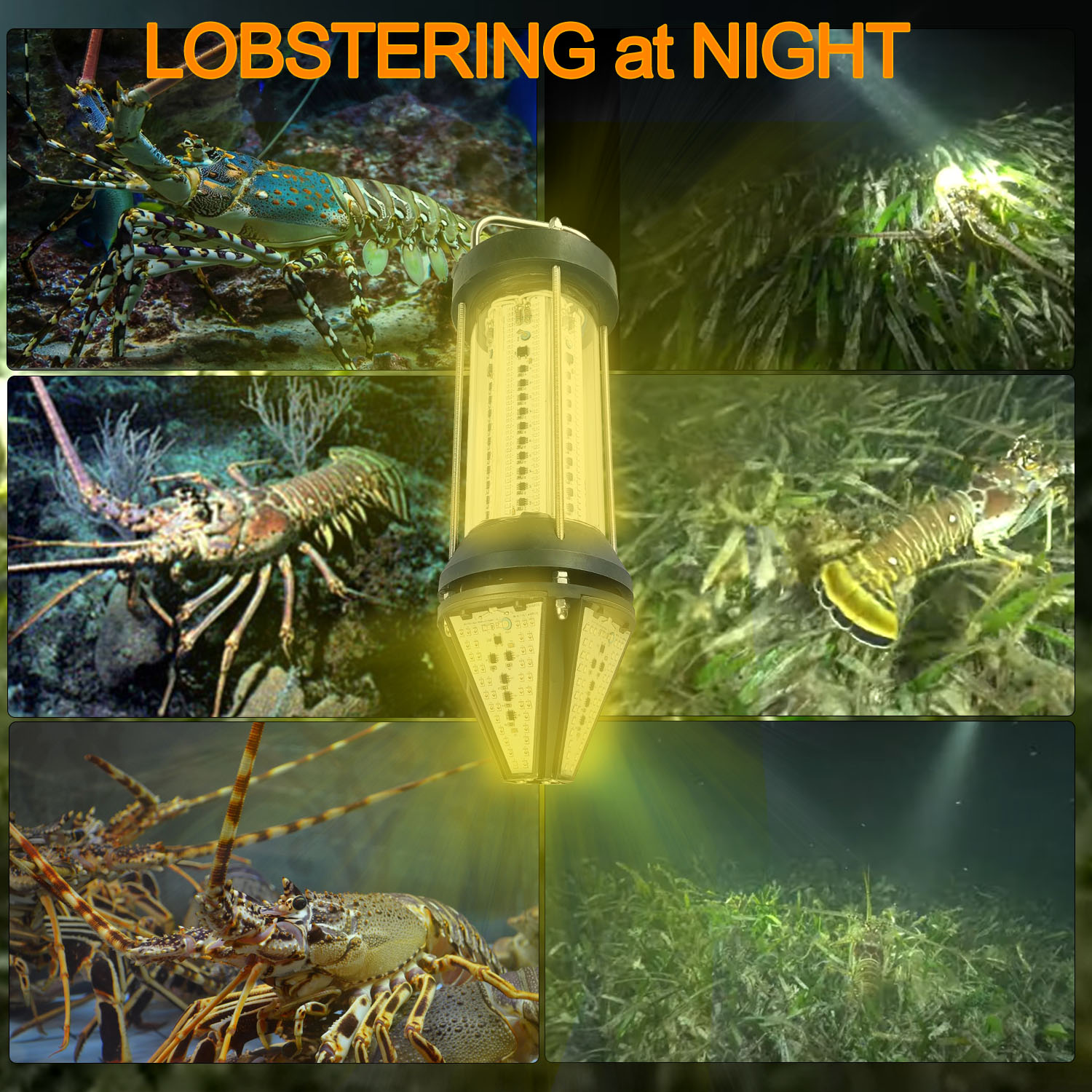 Luce Subacquea Verde Blu Bianc - Aquarium Fish Yellow recensione e prezzo