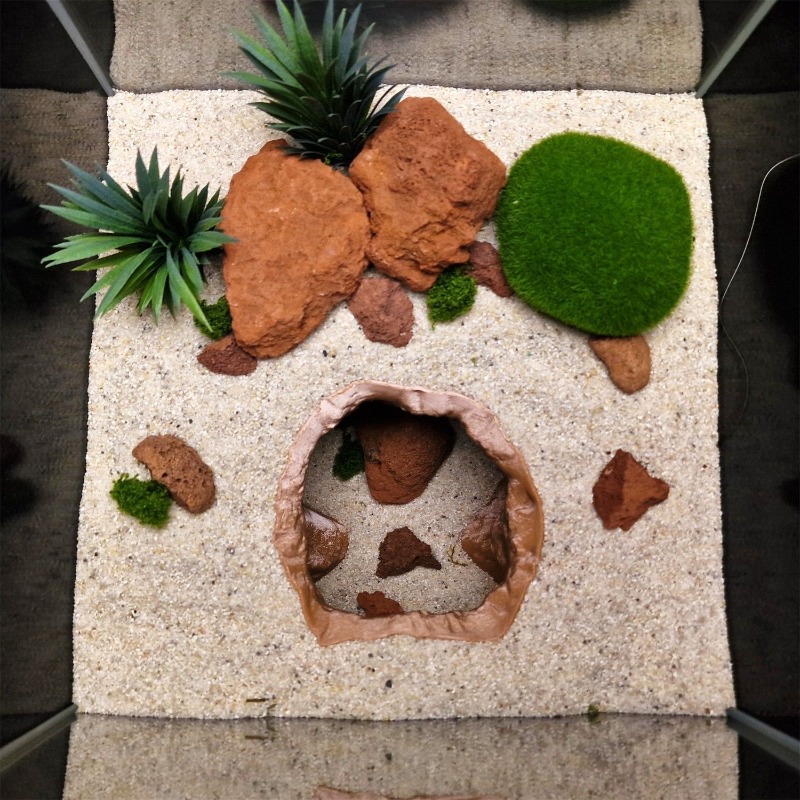 Ornamento per acquario con cav - Aquarium Fish Hide recensione e prezzo