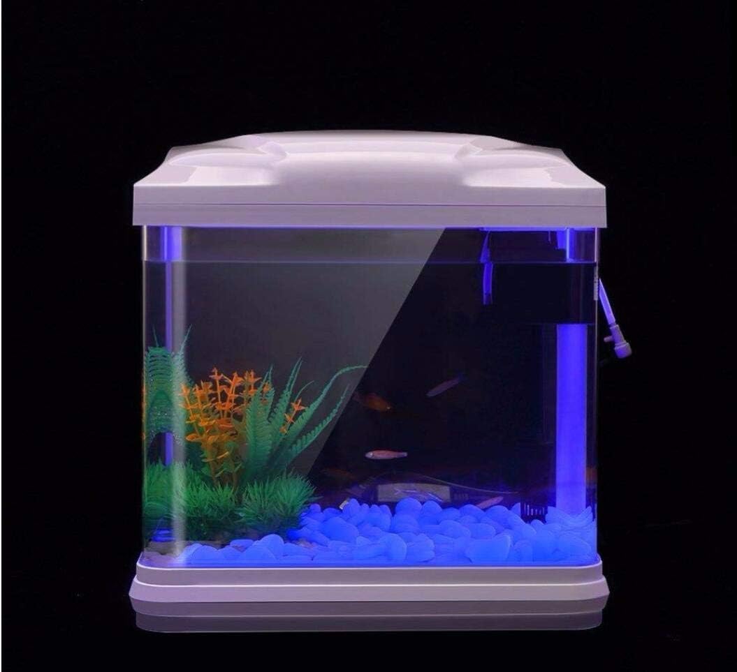 Rocce per acquari che si illum - Aquarium Fish Farm recensione e prezzo