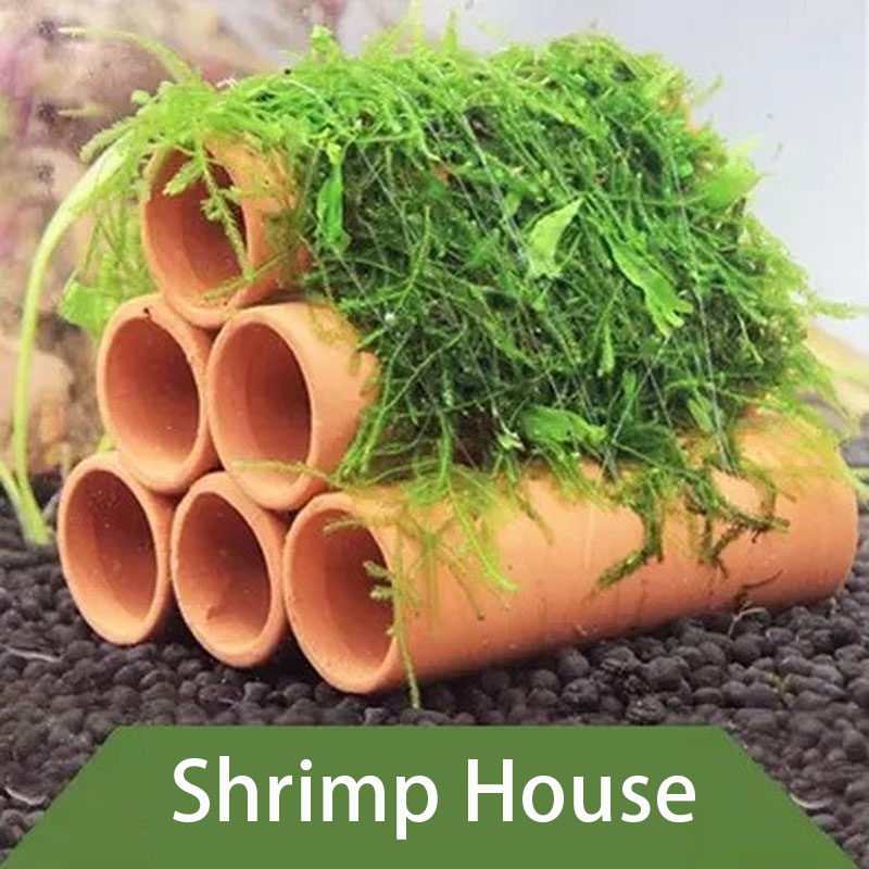 Decorazione per acquario in ar - Aquarium Fish Hide recensione e prezzo