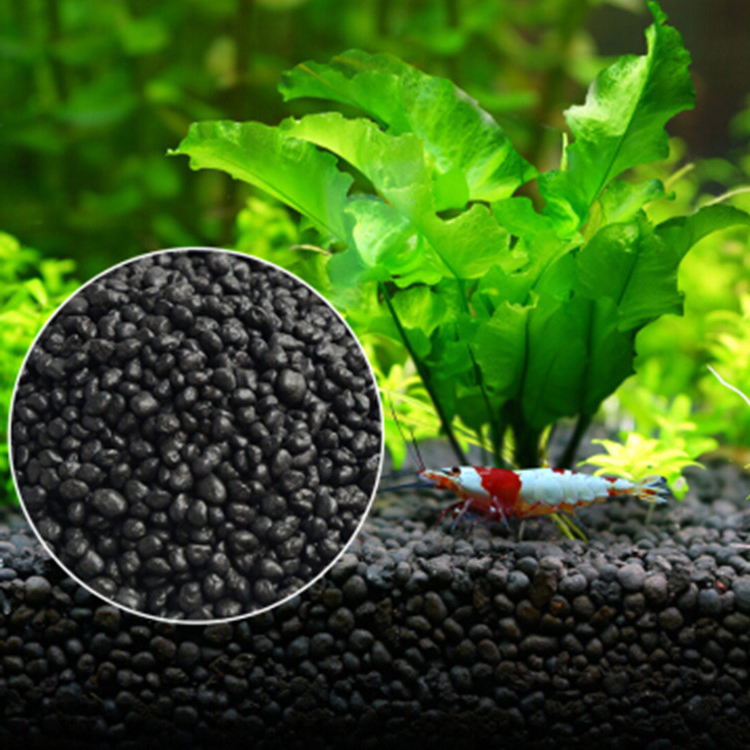 Acquario semi di piante terren - Aquarium Fish Farm recensione e prezzo
