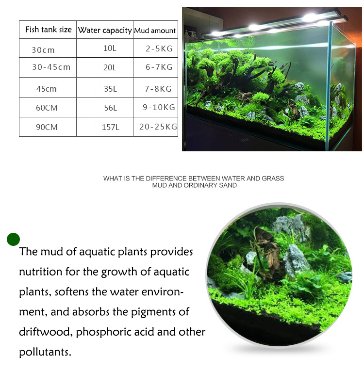 Acquario semi di piante terren - Aquarium Fish Farm recensione e prezzo