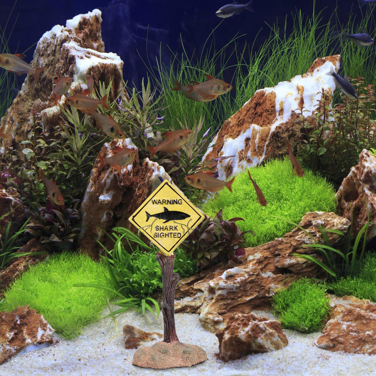 Cartello di Avvertimento per A - Aquarium Fish Yellow recensione e prezzo