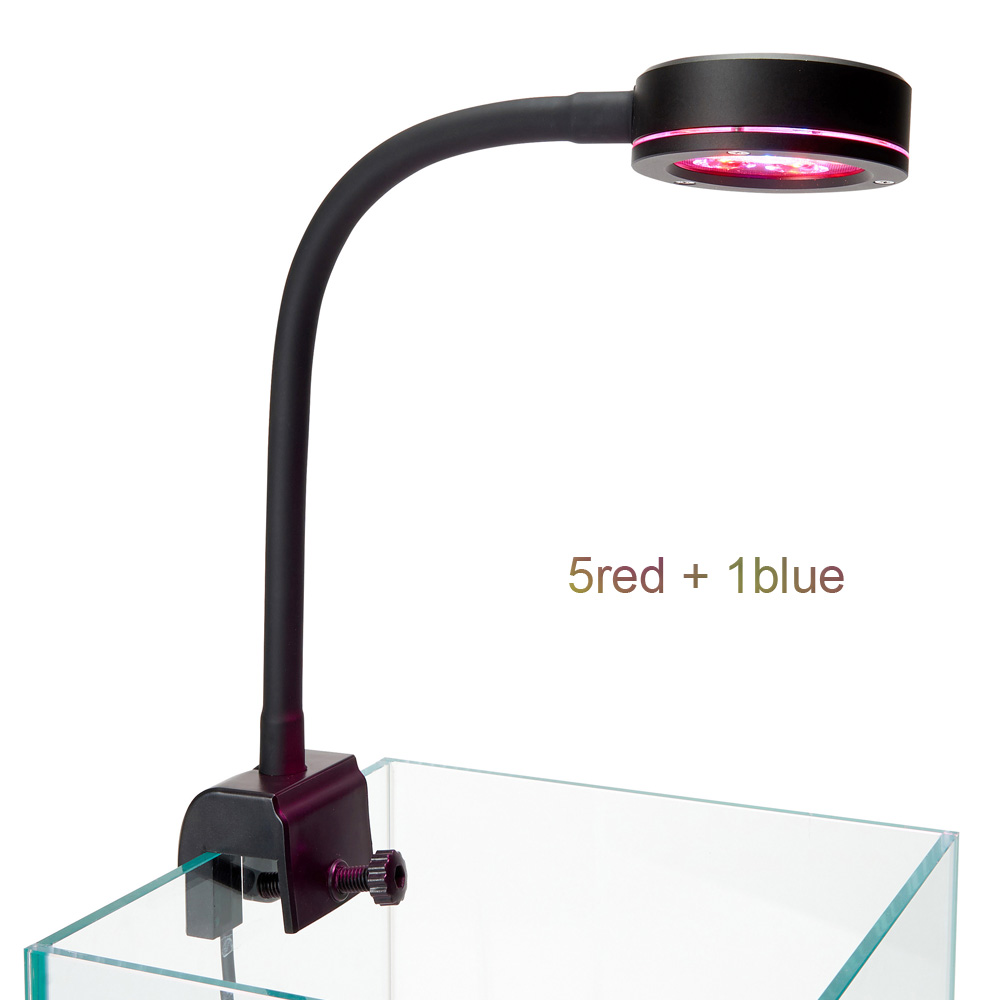 Nuova lampada per acquario Nan - Refugium Light Nano recensione e prezzo