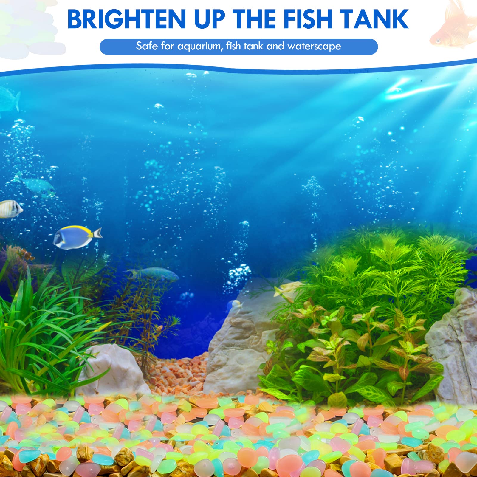 100 pezzi che si illuminano al - Aquarium Fish Farm recensione e prezzo