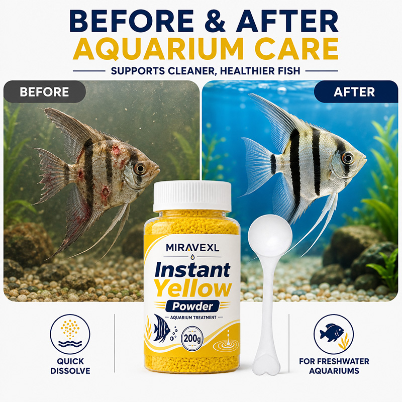 MIRAVEXL Polvere Gialla a Diss - Aquarium Fish Yellow recensione e prezzo