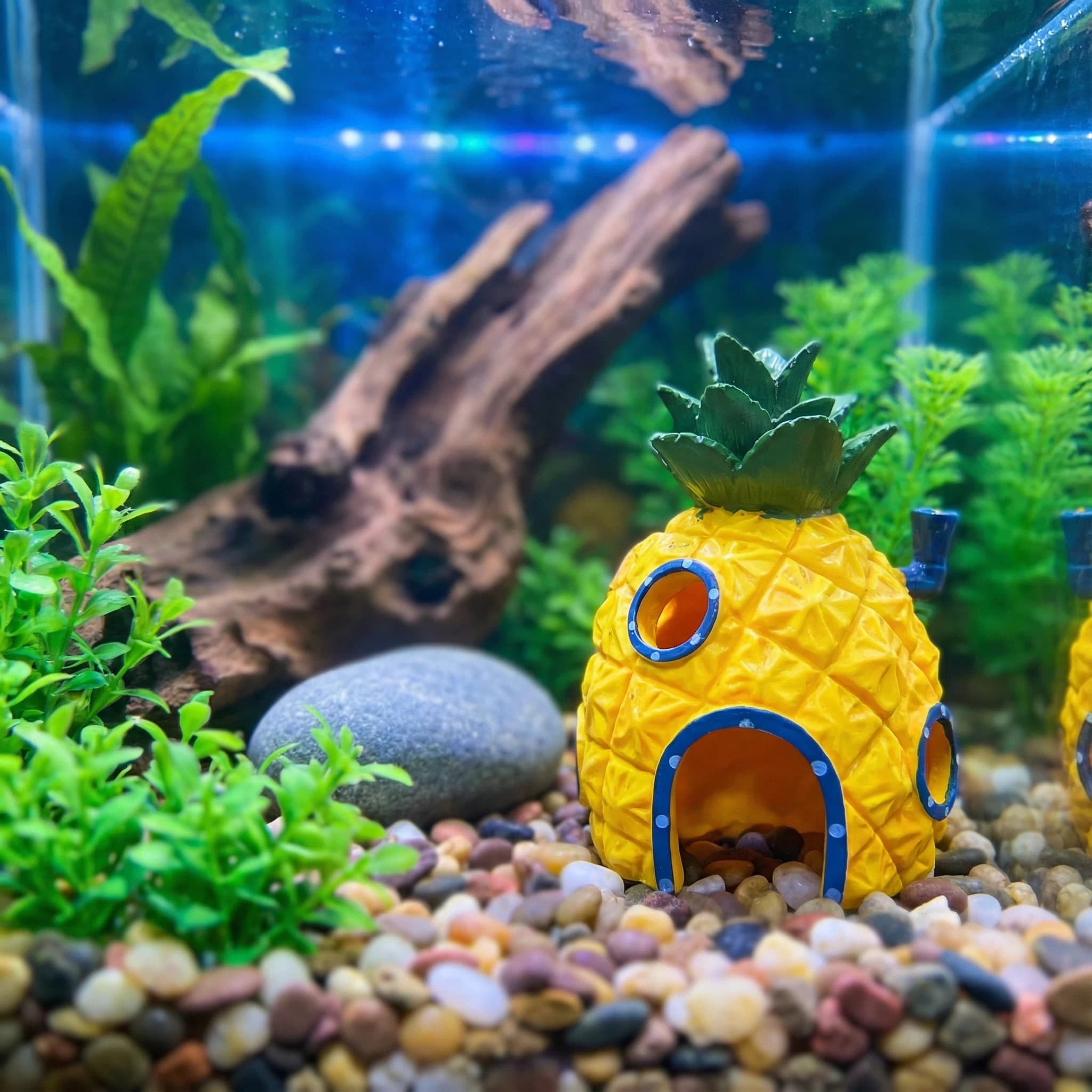 Decorazione per acquario Pinea - Aquarium Fish Hide recensione e prezzo