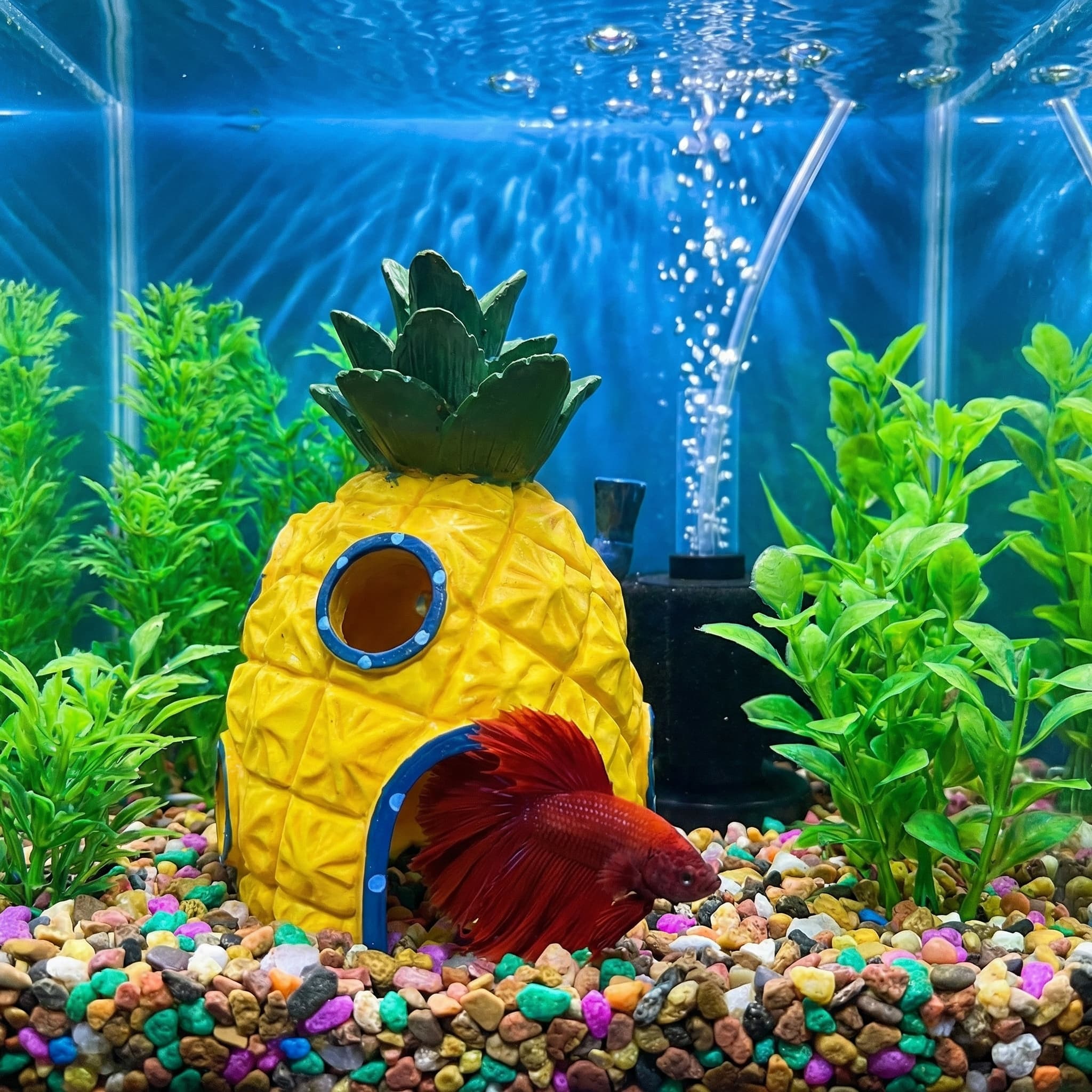 Decorazione per acquario Pinea - Aquarium Fish Hide recensione e prezzo