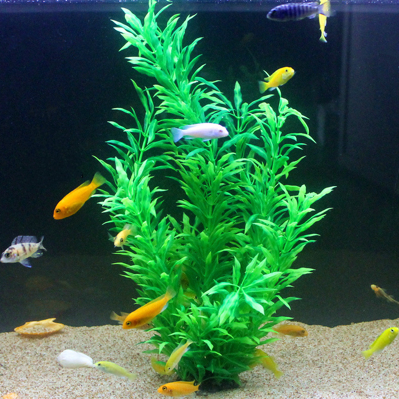 50CM Acquario artificiale Pian - Aquarium Fish Farm recensione e prezzo