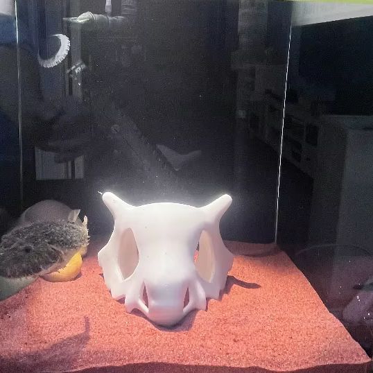 3D stampato FIsh Gamberetti Re - Aquarium Fish Hide recensione e prezzo